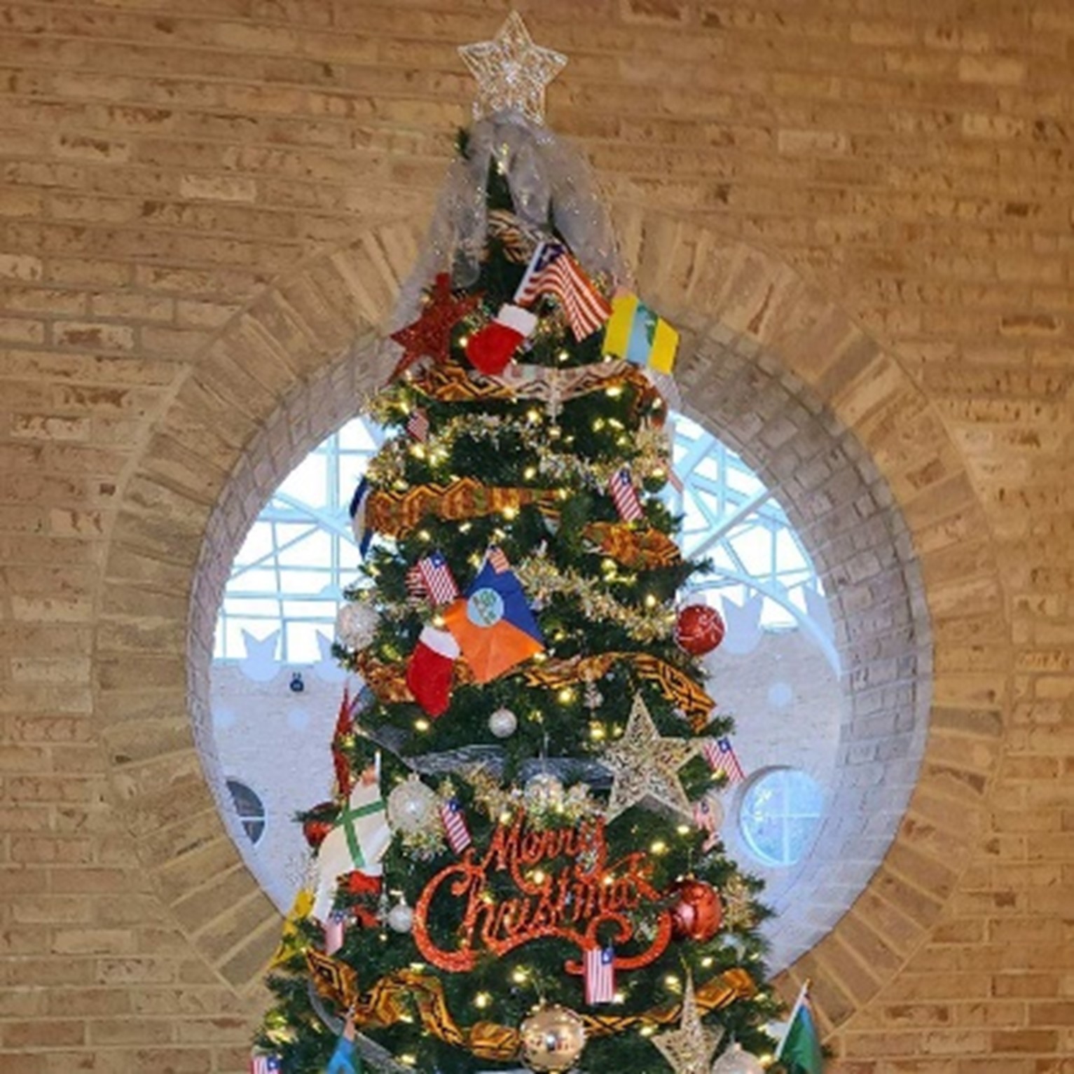 Fernbank Christmas Tree_2
